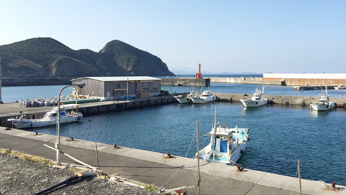 🏝️ 이시마 섬(이시마) 이미지 1